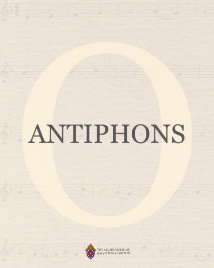 fb-178757502156824_1181013420838560