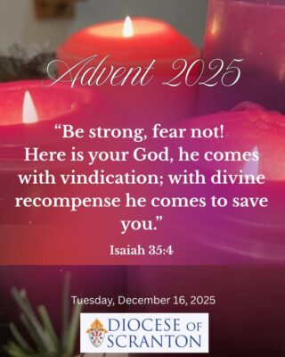 fb-313158165452988_1309106397927976