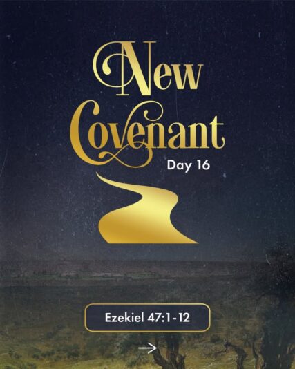 fb-124319130912226_1302123645293394