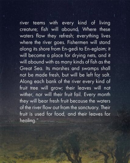 fb-124319130912226_1302123645293394