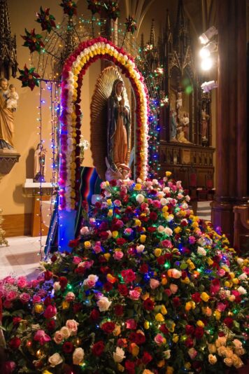 fb-313158165452988_1309050561266893