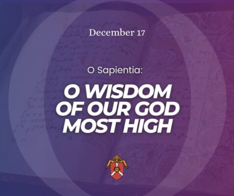 fb-117039652822_1291521159677248