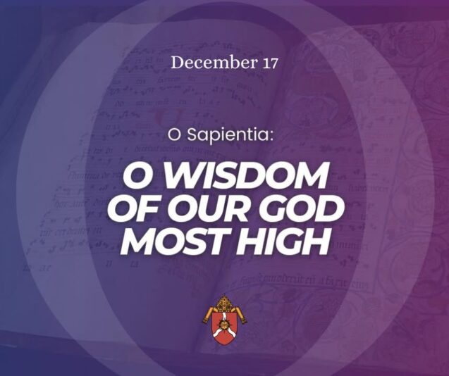 fb-117039652822_1291521159677248