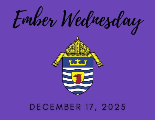 fb-249421551878973_1313743037454192