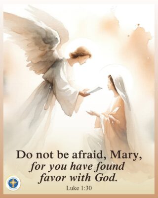 fb-216956945061_1298085035694193