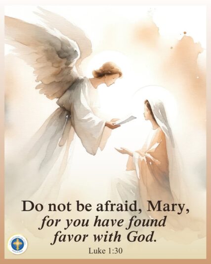 fb-216956945061_1298085035694193