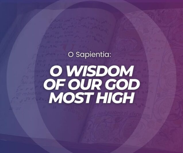 fb-147325878647167_1279215507577716