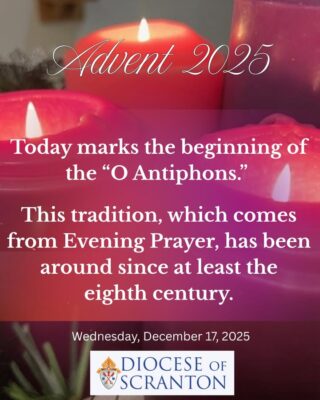 fb-313158165452988_1309544447884171