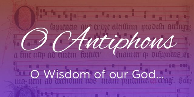 fb-116343758405910_1295467255944179