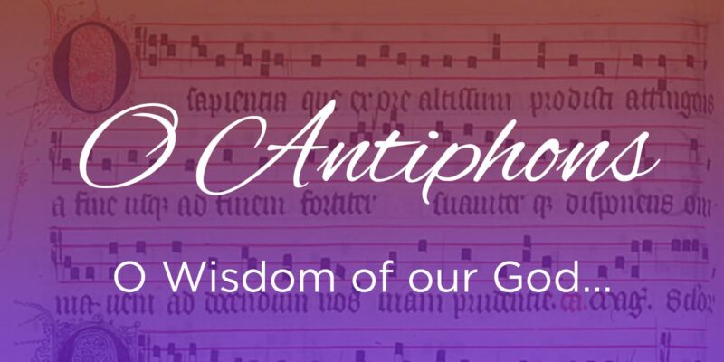 fb-116343758405910_1295467255944179