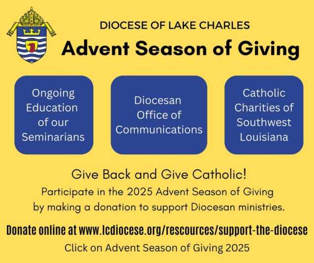 fb-249421551878973_1314098710751958