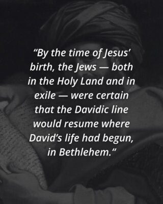 fb-124319130912226_1302995618539530