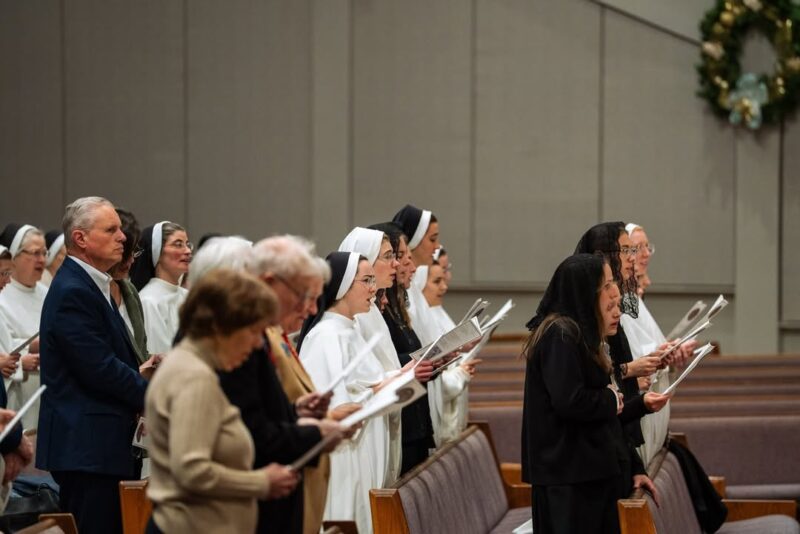 fb-1146610888716848_1316704783832077