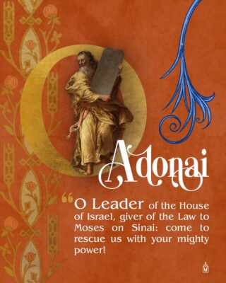 fb-124319130912226_1303503655155393