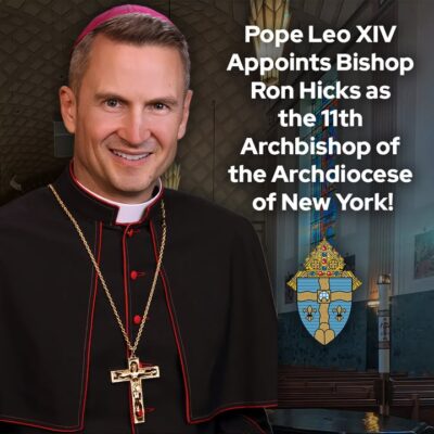 fb-267652796676847_1264636459033054