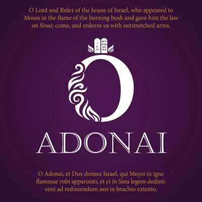 fb-194350237252996_1292266699595746