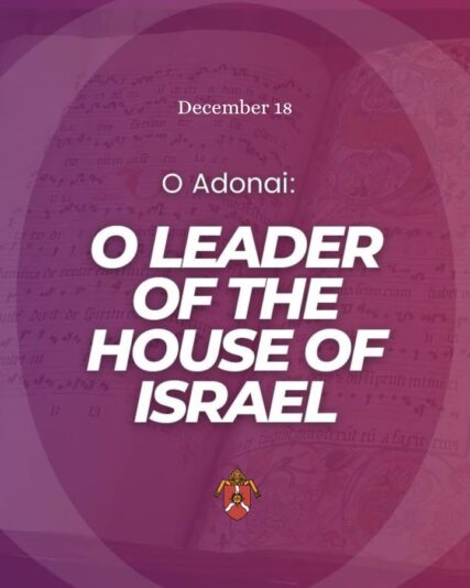 fb-117039652822_1292297926266238