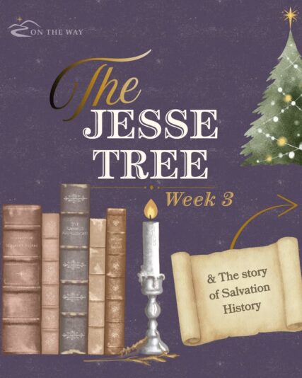 fb-49347972598_1313777204121440