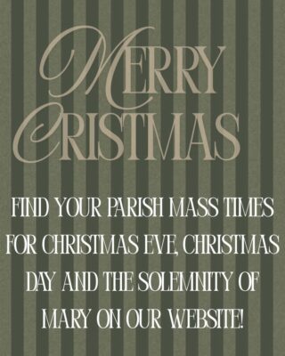 fb-1669188376658004_1503564025103255