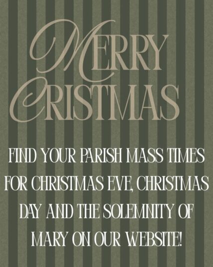 fb-1669188376658004_1503564025103255