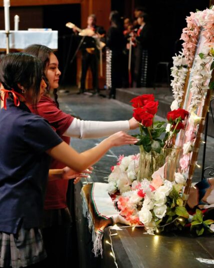 fb-355703527834405_1330216879149114