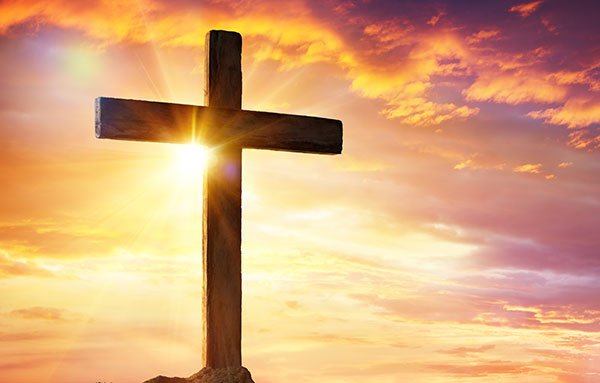 fb-1094082193990443_1321647213338412