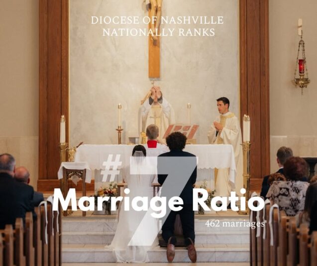 fb-1146610888716848_1317558160413406