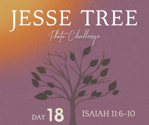 fb-107704176960_1265732822255527