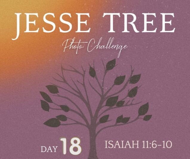 fb-107704176960_1265732822255527