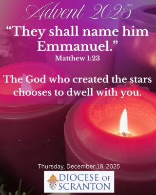 fb-313158165452988_1310649837773632