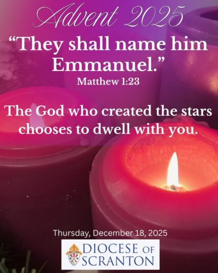 fb-313158165452988_1310649837773632