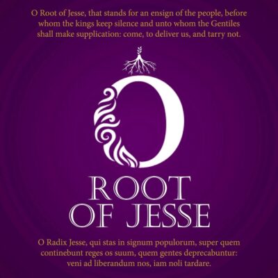 fb-194350237252996_1293051032850646