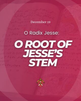 fb-117039652822_1293224309506933