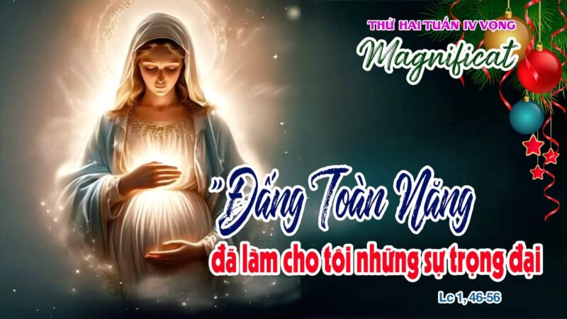 fb-585442494803518_1280287710802442