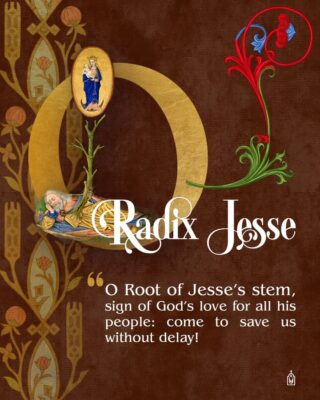 fb-124319130912226_1304271151745310