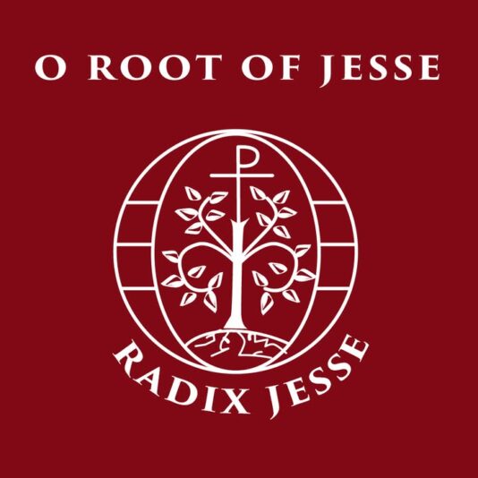 fb-101064066621857_1183734900549101