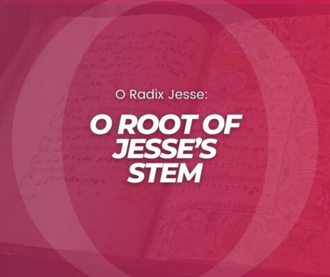 fb-107704176960_1266601162168693