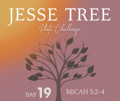 fb-107704176960_1266525198842956