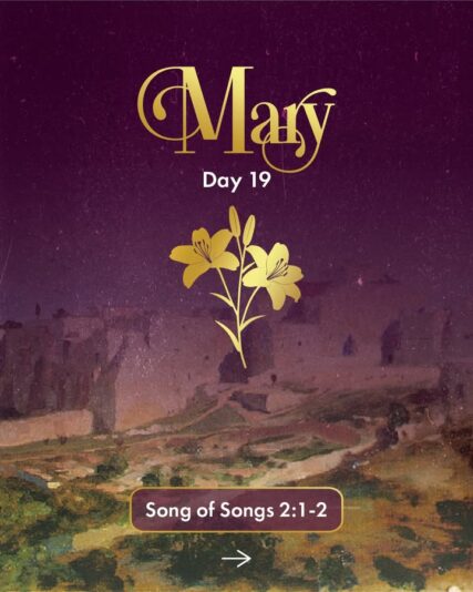 fb-124319130912226_1304389558400136