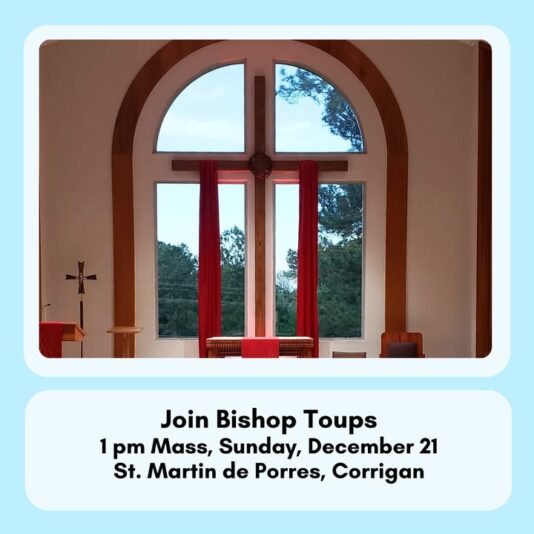 fb-147325878647167_1280822687416998