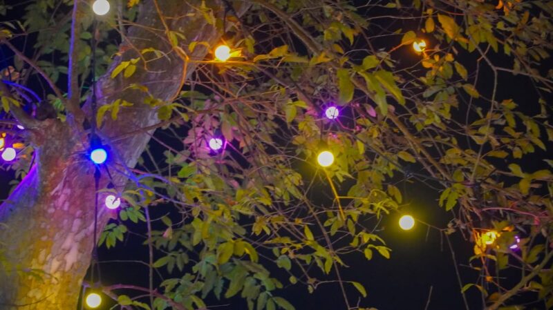 fb-285328895298373_871797228922527