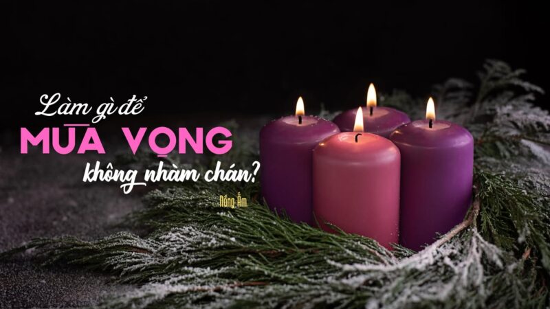 fb-732768673513037_1179167191006830