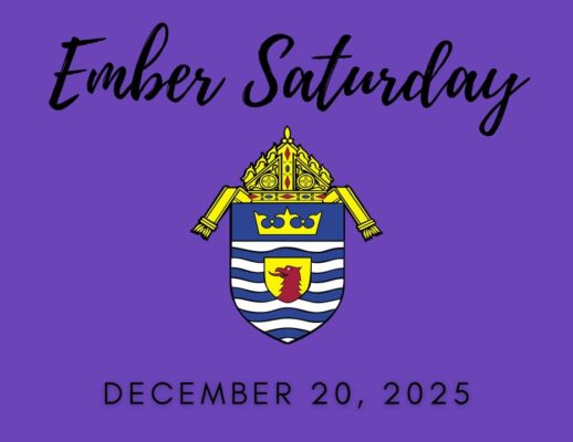 fb-249421551878973_1316161903878972