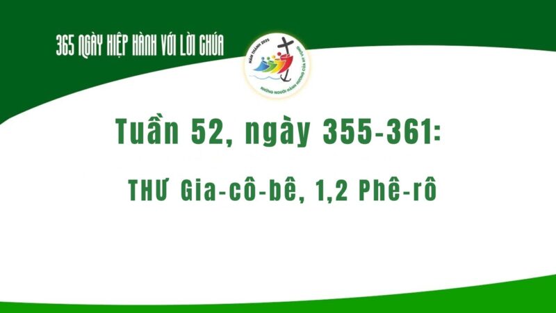 fb-732768673513037_1179500264306856