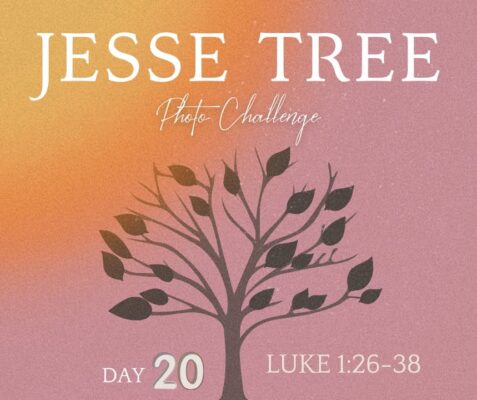 fb-107704176960_1267298055432337