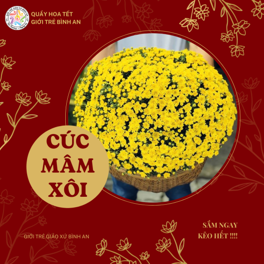 MENU HOA - Design (2)