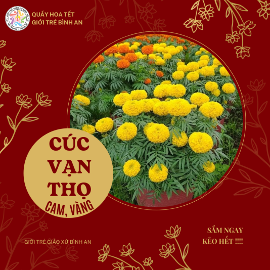 MENU HOA - Design (3)