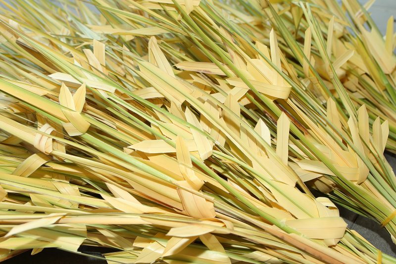 657524643_122228260976301670_3572158863045600761_n