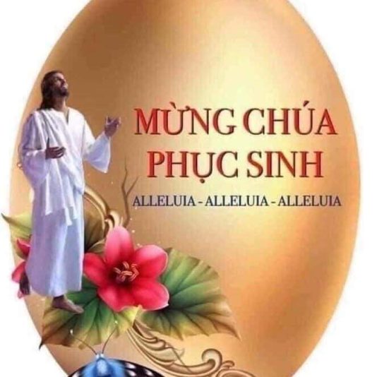 764b6442-8f49-481a-8983-44e7a960e199-1_all_554