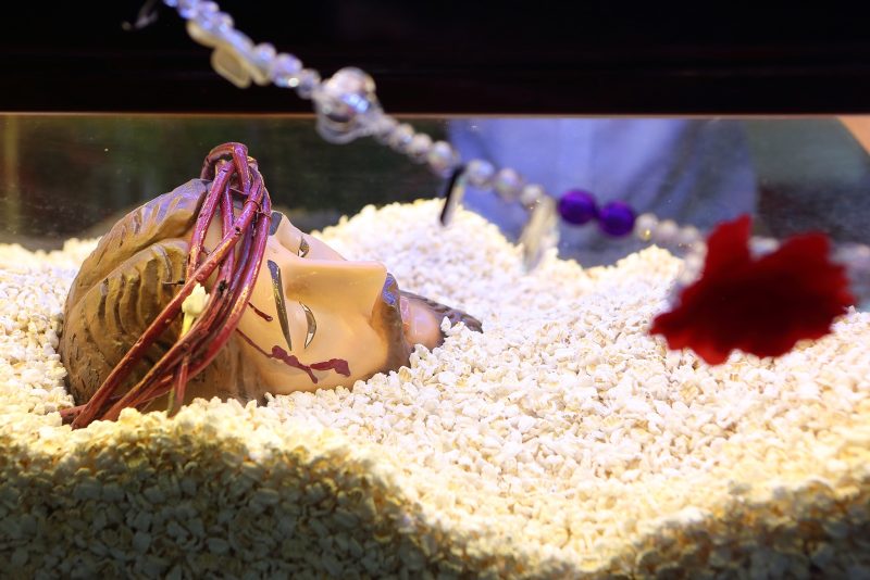 659727404_122228928290301670_7711032355956227583_n